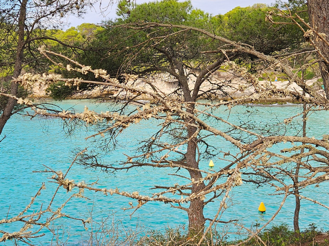 Fiesta el Barco Rojo-休达德亚必去景点