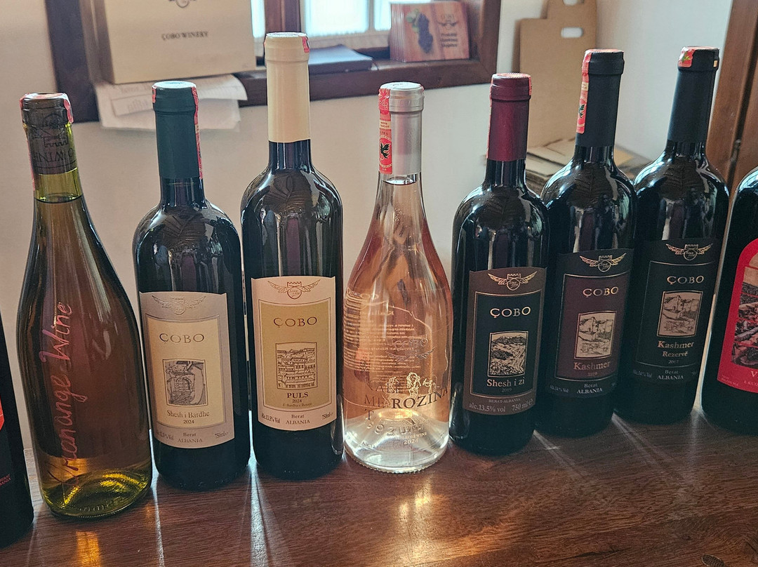 Cobo Winery-Ura Vajgurore必去景点