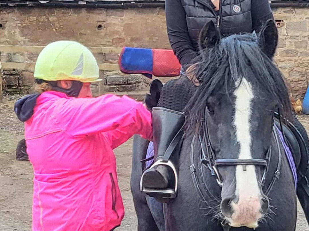 Kimmerston Riding Centre-Wooler必去景点