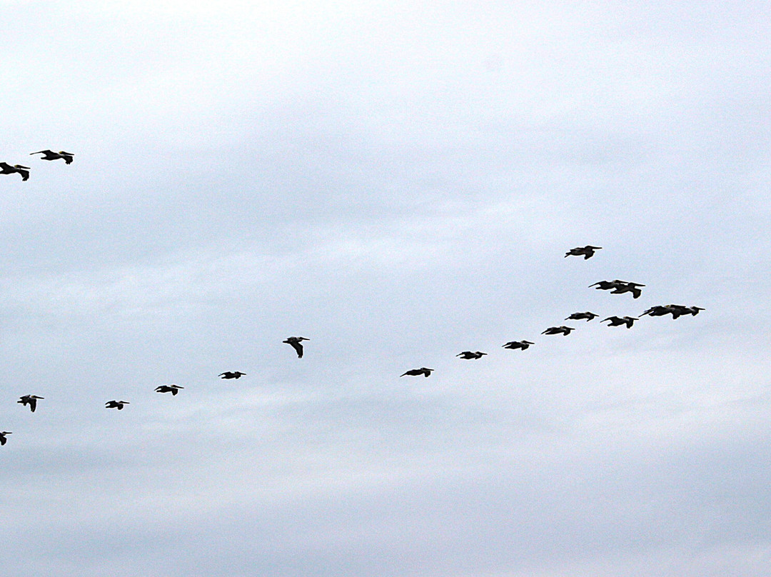斯百戈拉斯旅馆主图