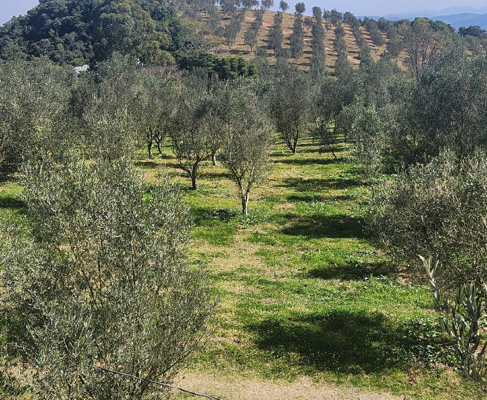 Magadu Olival-Maria da Fe必去景点