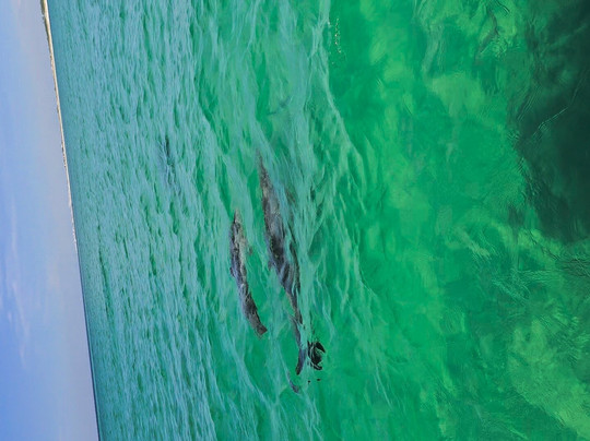 Destin Coastal Adventures-Miramar Beach必去景点