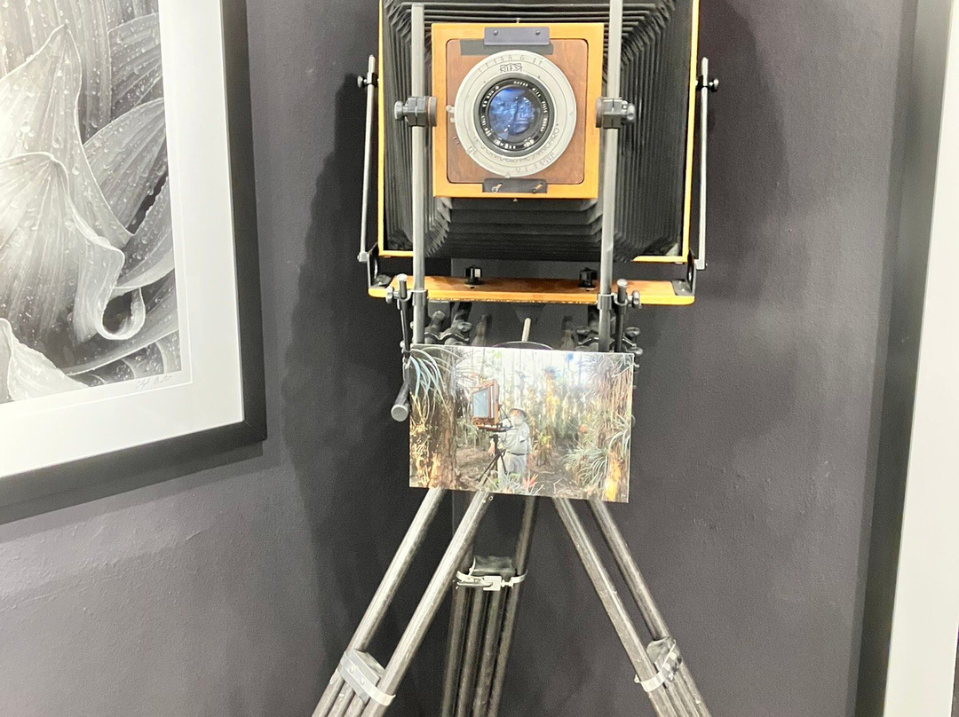 Clyde Butcher's Venice Gallery & Studio-威尼斯必去景点