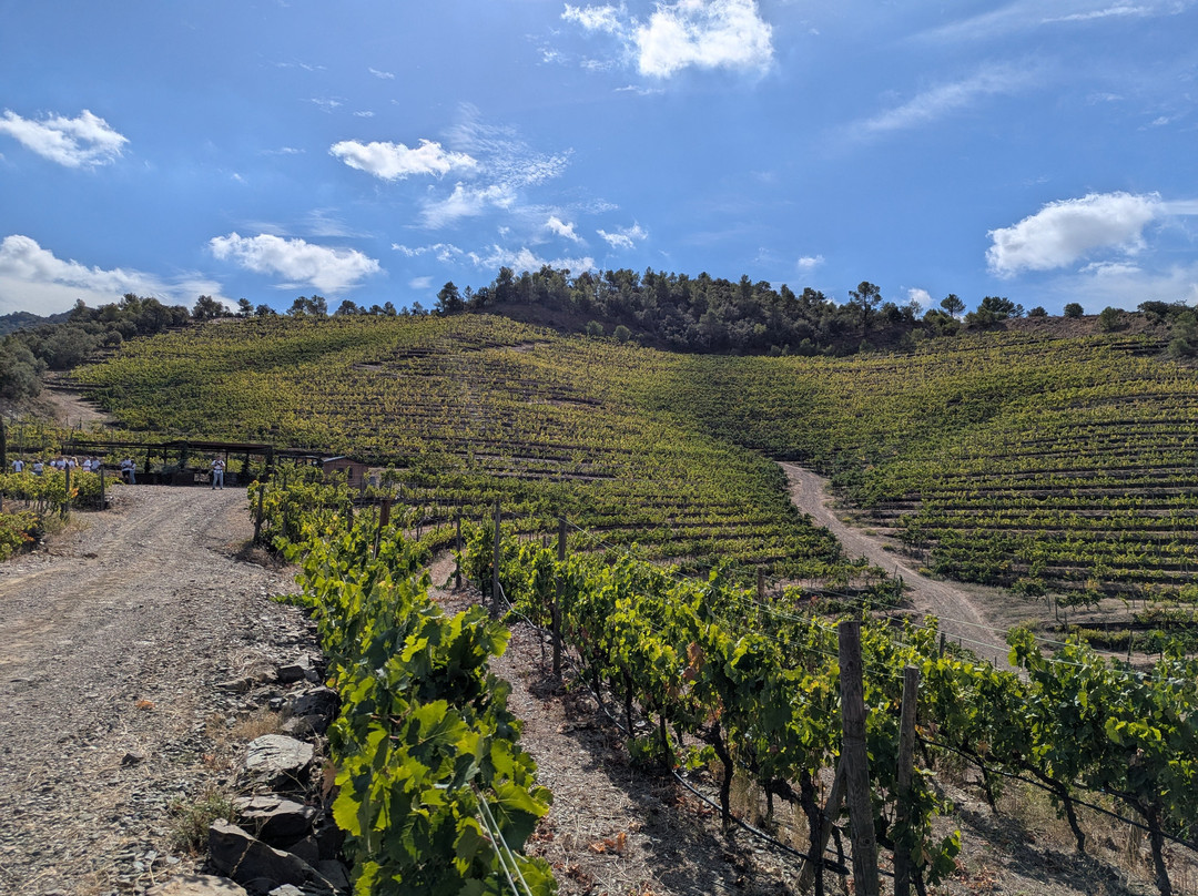 Perinet-La Morera de Montsant必去景点