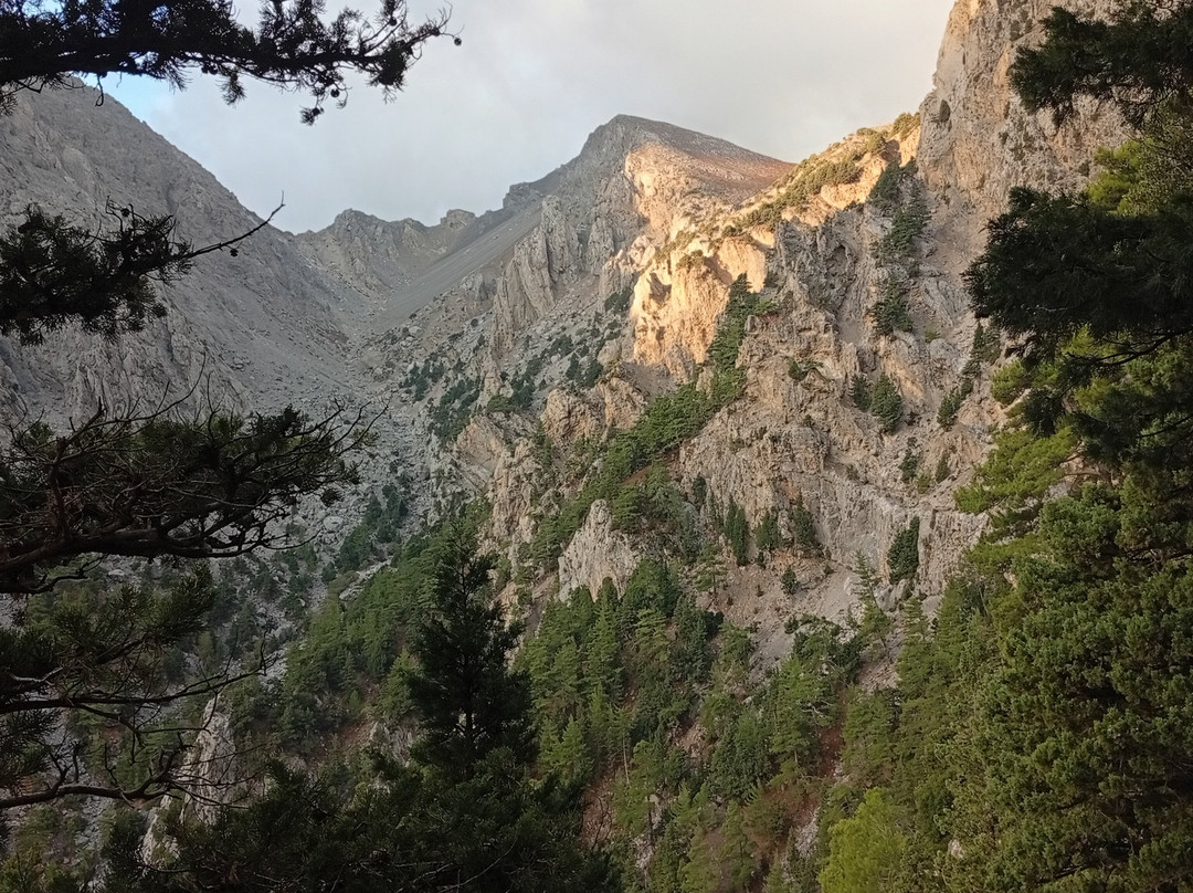 Elafonissos travel-干尼亚必去景点