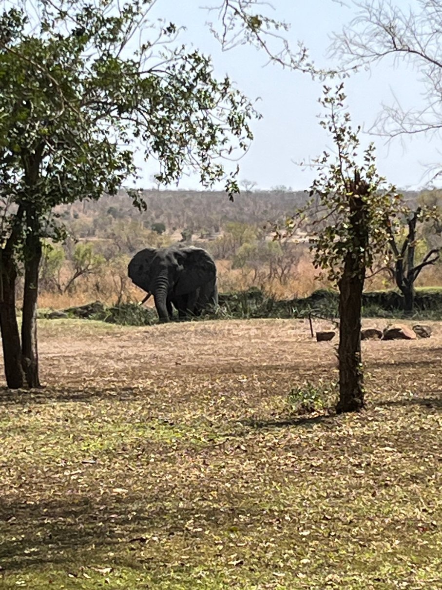 Savanna Private Game Reserve-酒店景观