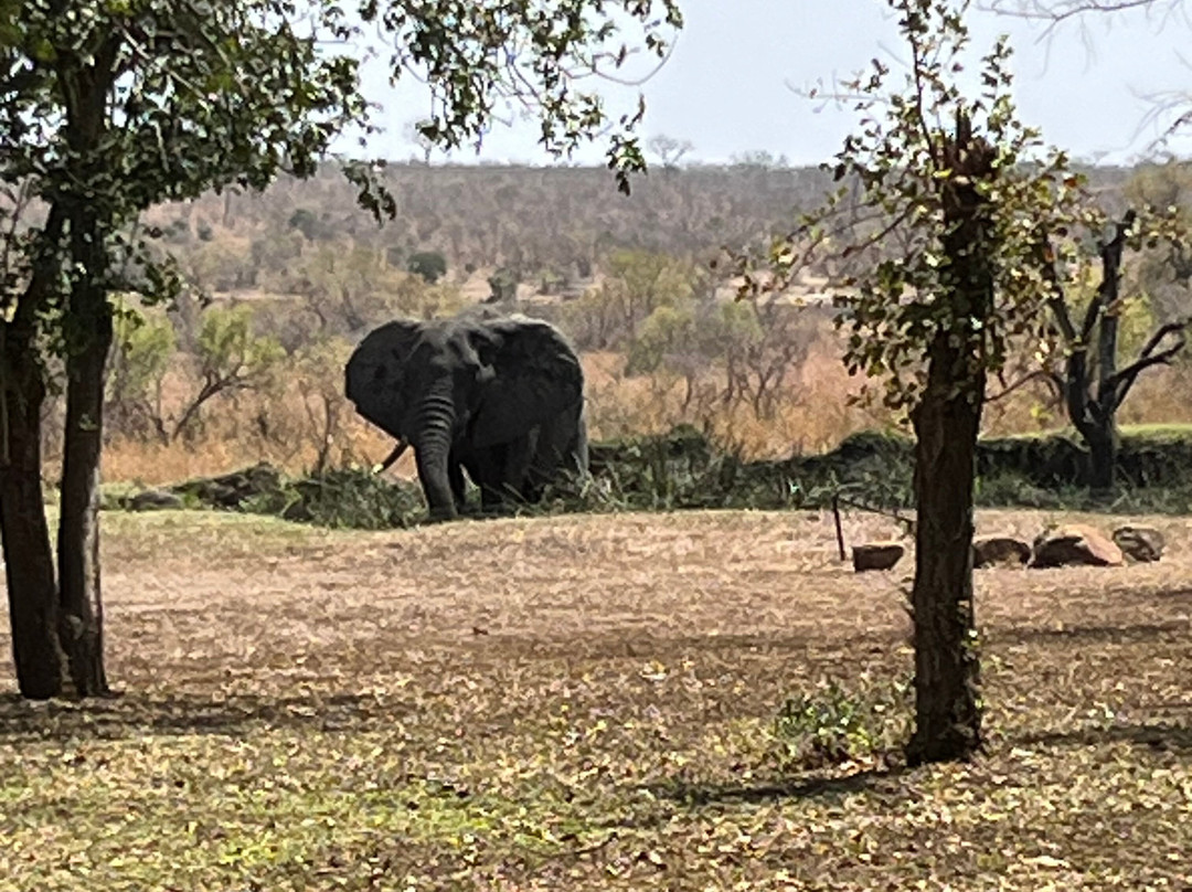 Savanna Private Game Reserve主图