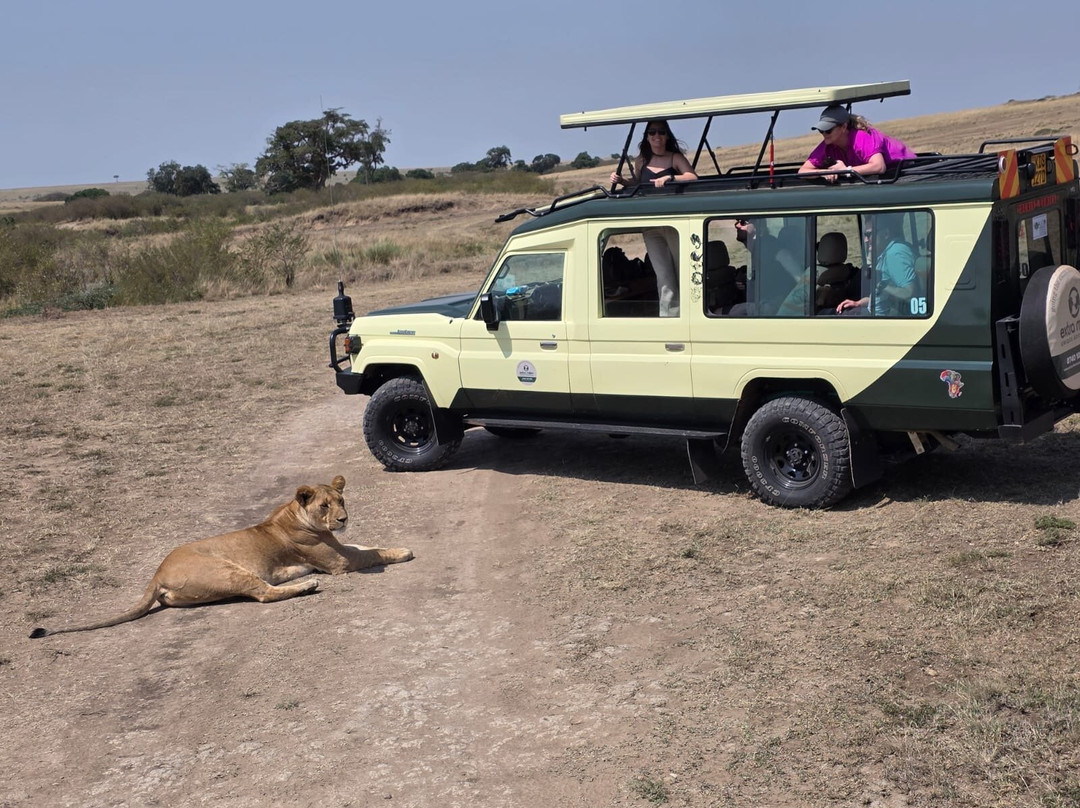 Extra Miles Unique Adventures-Sekenani必去景点