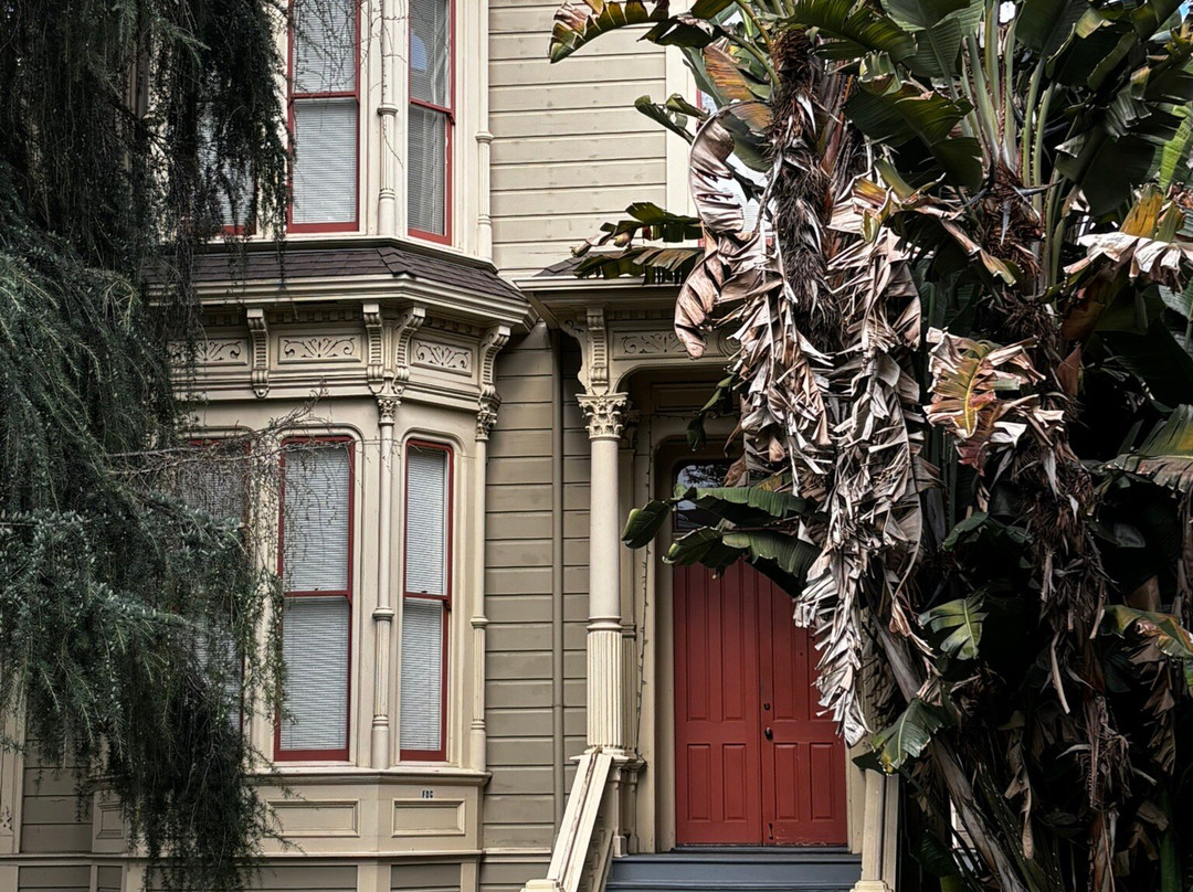 Preservation Park-奥克兰必去景点