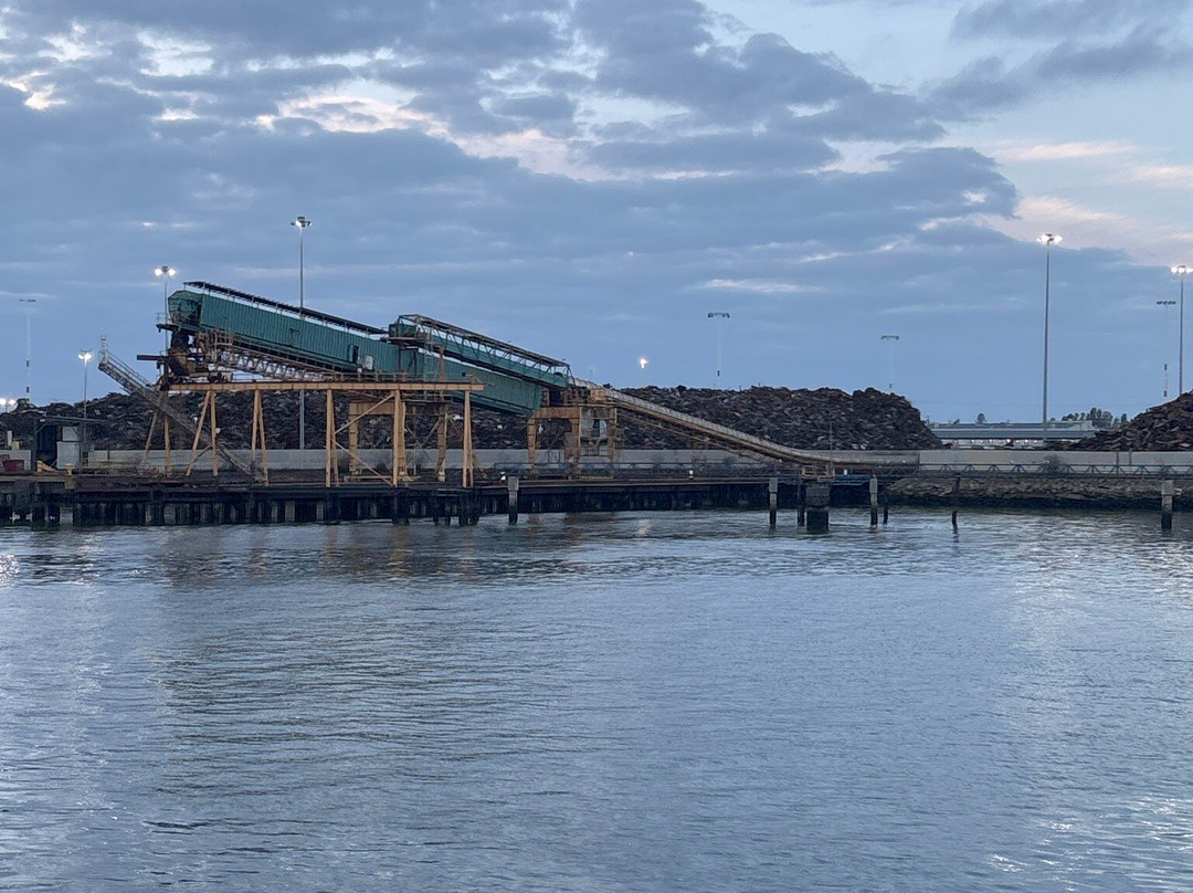 Port View Park-奥克兰必去景点