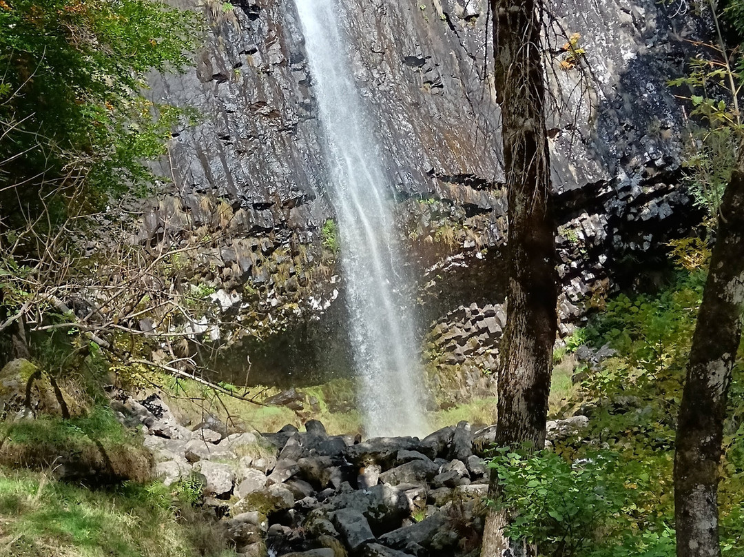 Cascade de Faillittoux-Thiezac必去景点