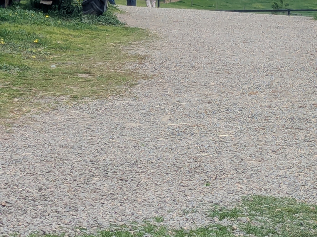 Hahndorf Farm Barn-汉道夫德国村必去景点