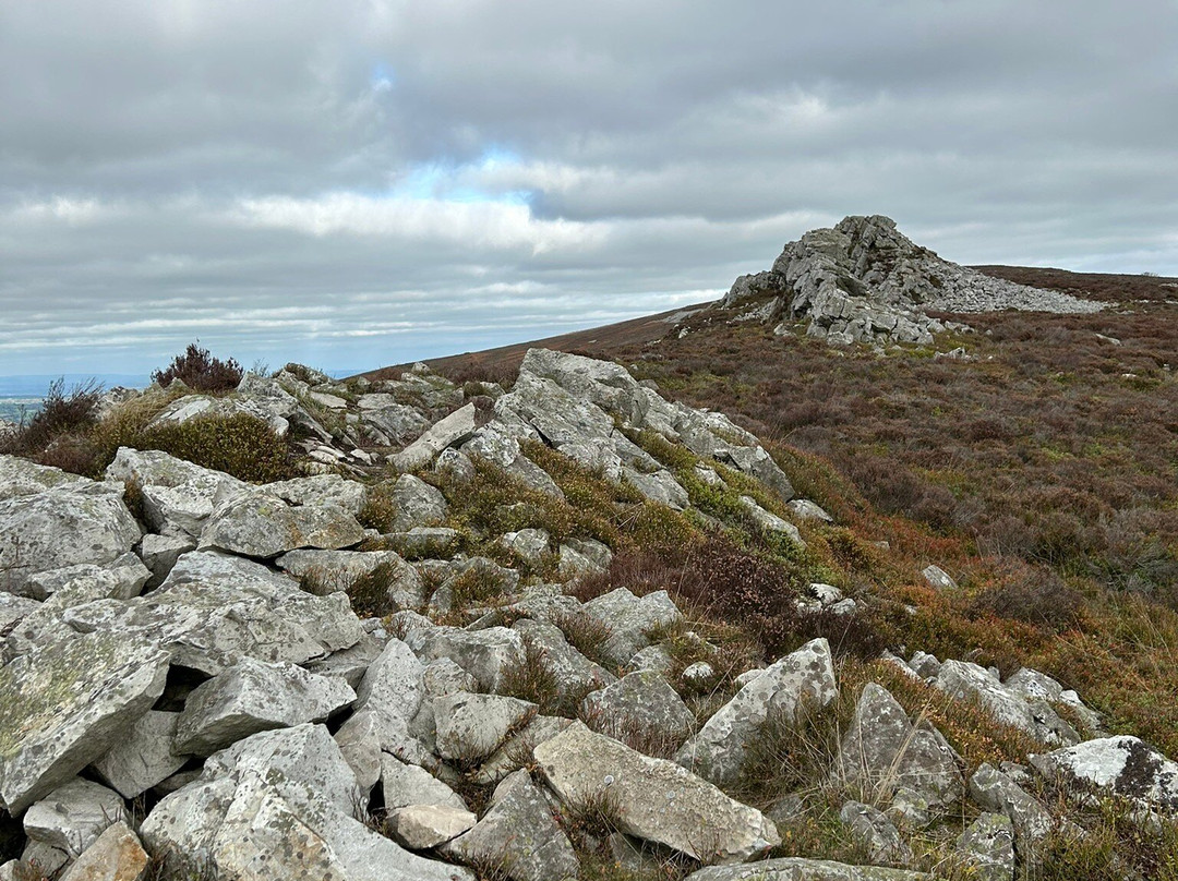 Stiperstones Nature Reserve-什鲁斯伯里必去景点