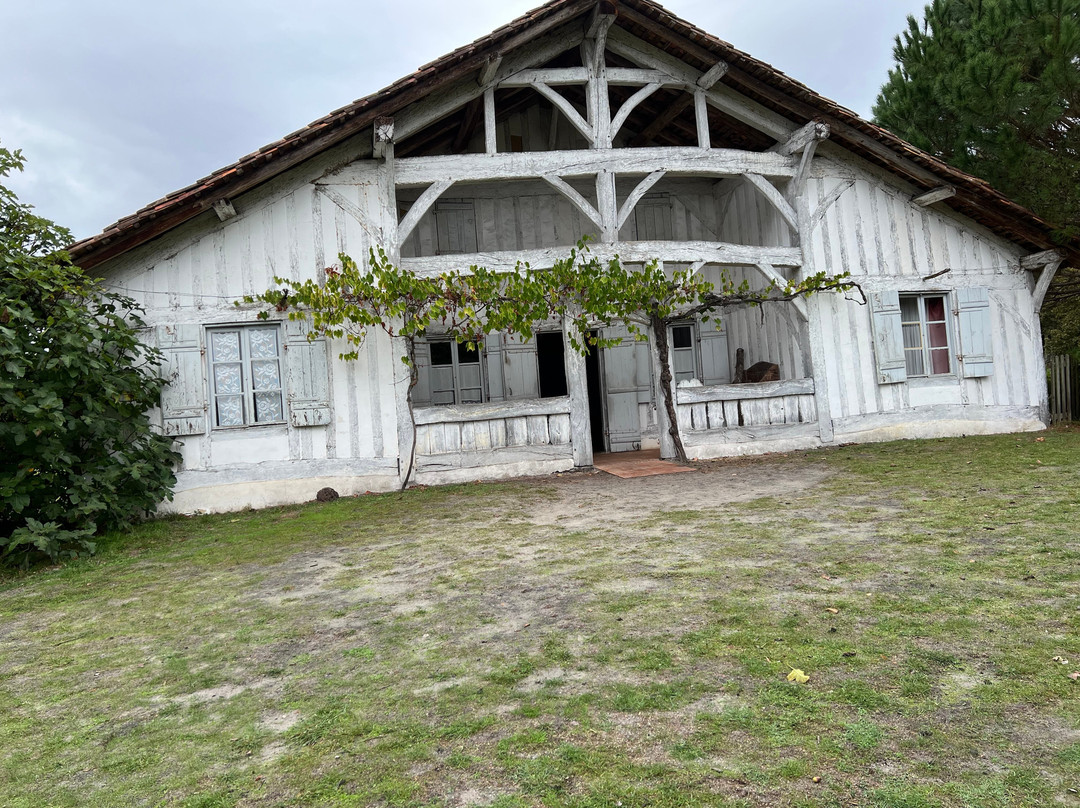 Écomusée De Marquèze-Sabres必去景点