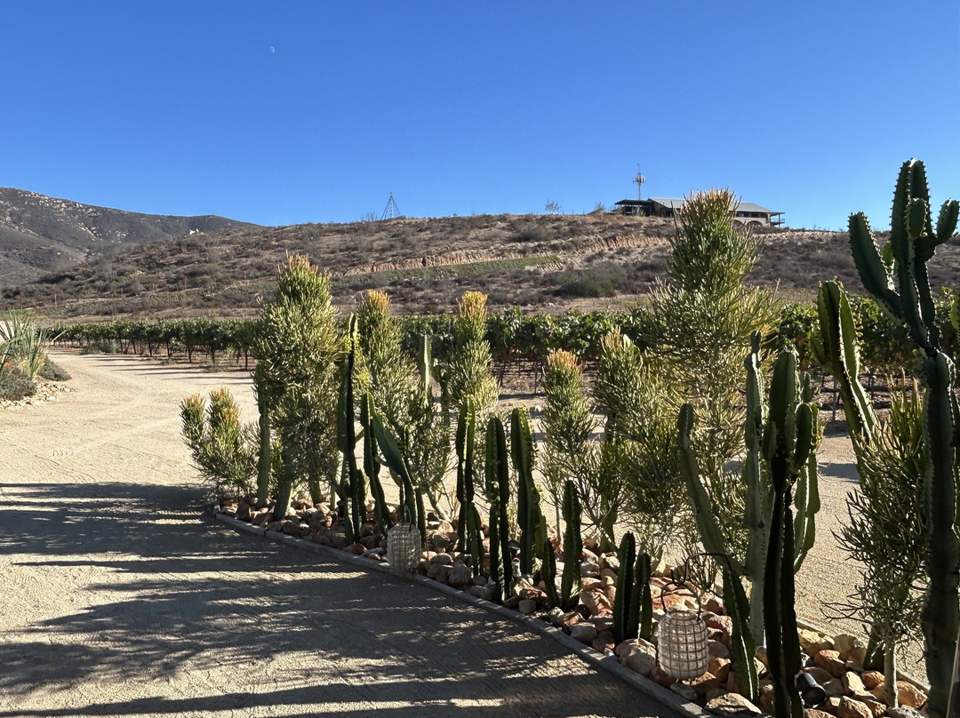 Tours del Valle Emanuel-Ejido El Porvenir必去景点