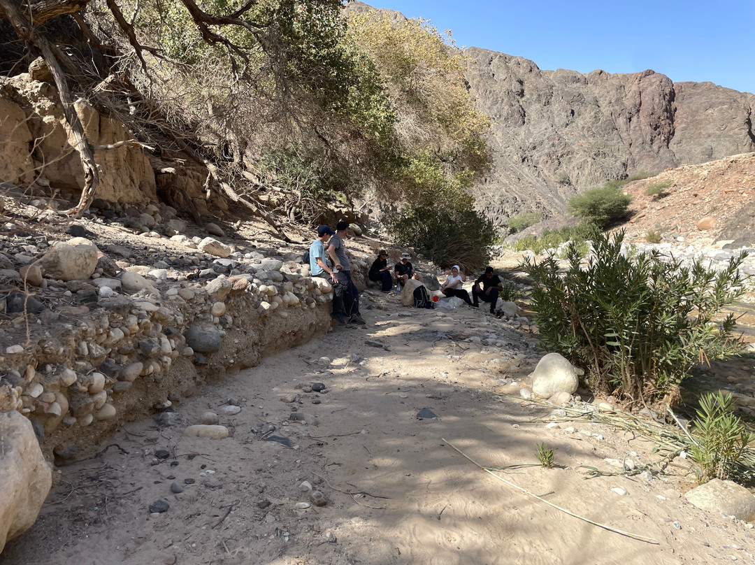 Jordan Trail Adventures-Dana必去景点