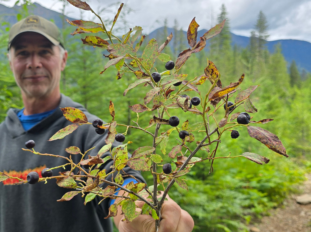 Alpenglow Mountain Escapes-Nakusp必去景点