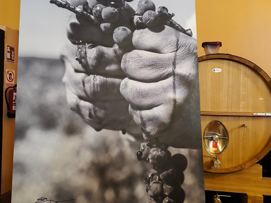 Bodegas Emilio Moro-Pesquera de Duero必去景点