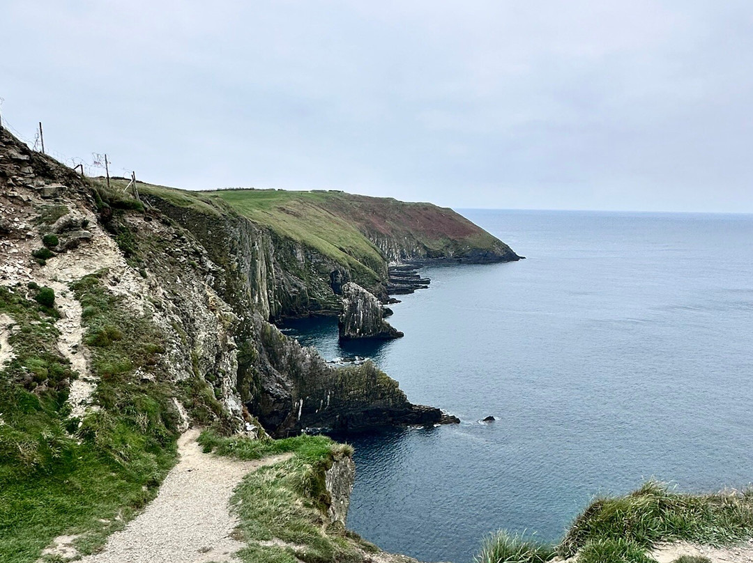 Old Head of Kinsale主图