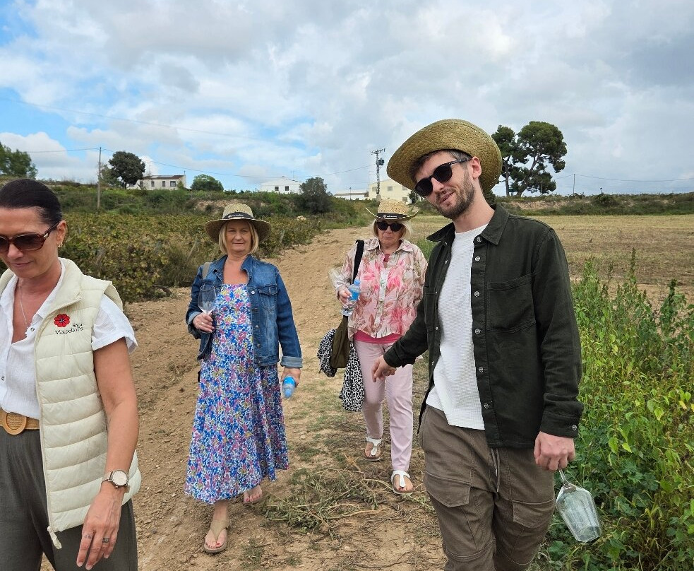 Finca Viladellops-Viladellops必去景点
