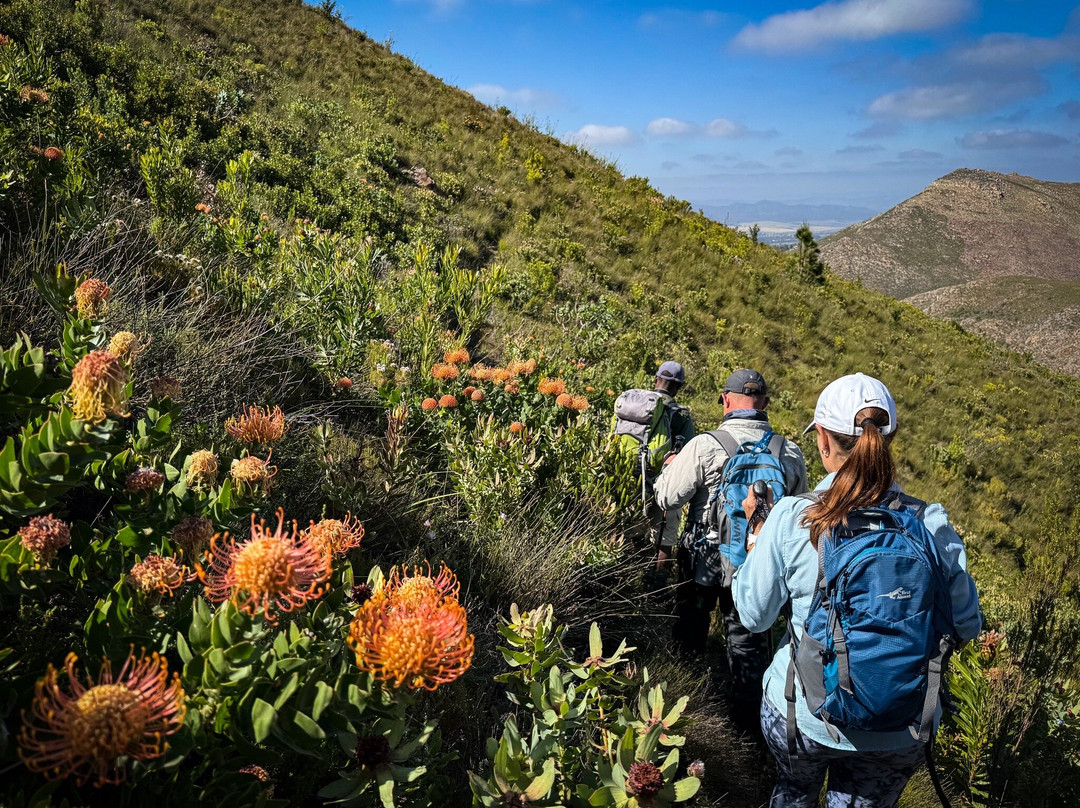 Green Mountain Trail-Elgin必去景点