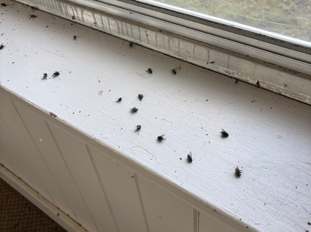 Spirit Lake-Spirit Lake必去景点