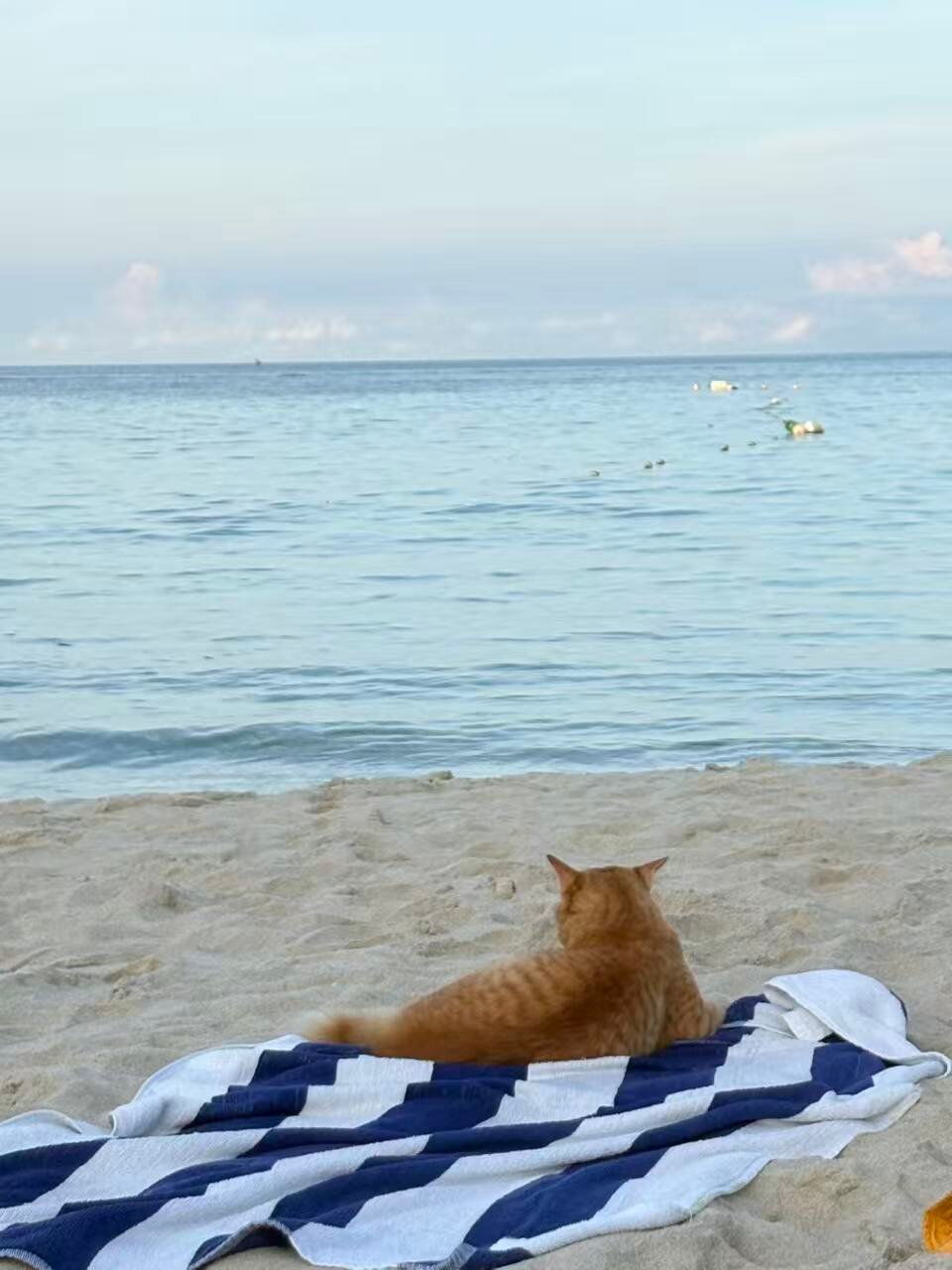 布布长滩酒店-泳池