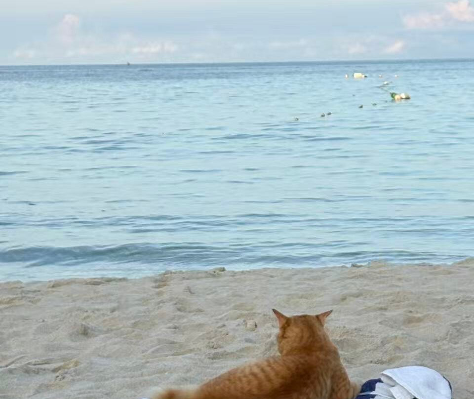 布布长滩酒店主图