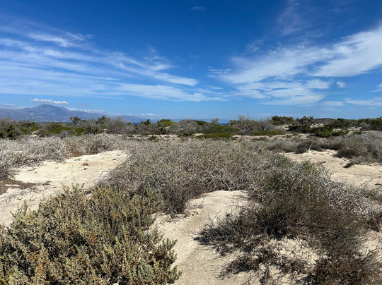 Nautilos Cruises-Ierapetra必去景点