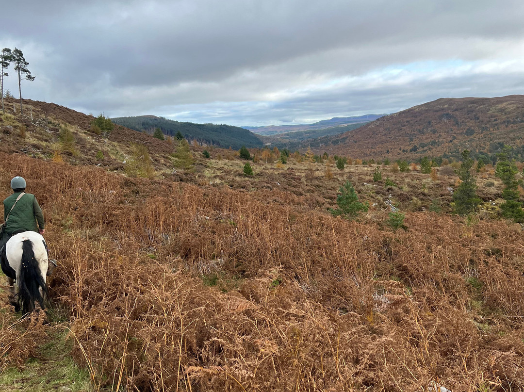 Highland Trekking and Trail Riding-Cannich必去景点