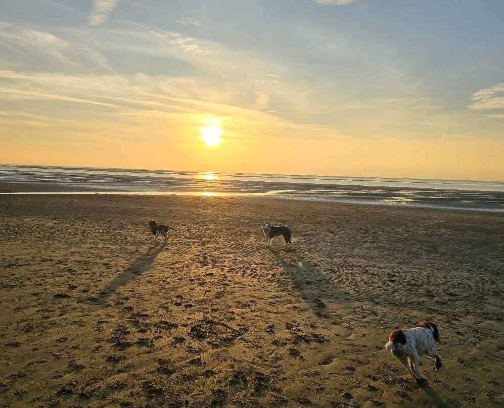 Hunstanton Beach-Hunstanton必去景点