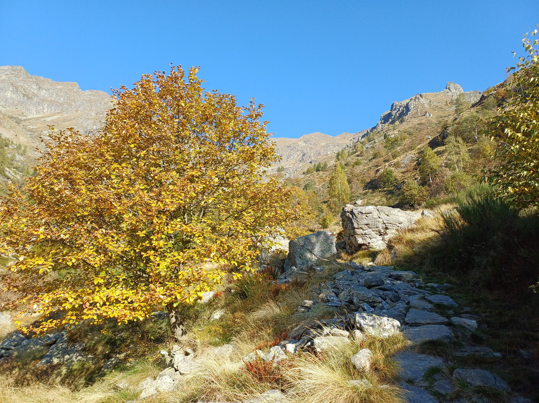 Rifugio Alfredo Rivetti-Andorno Micca必去景点