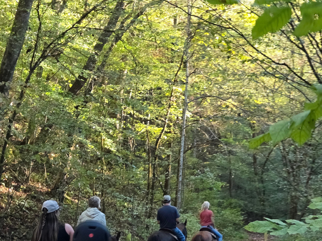 Ocoee HorseRide-Charleston必去景点