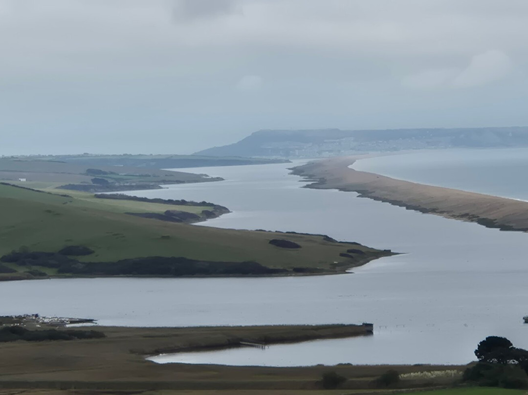 Abbotsbury Subtropical Gardens-Abbotsbury必去景点