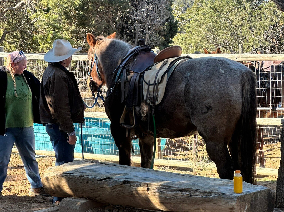 Ruby'grand Adventure Vacation