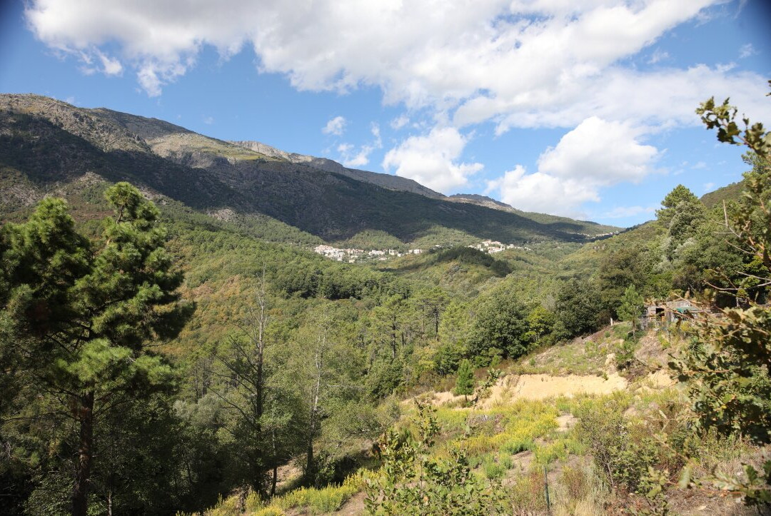 Gare de Venaco-Venaco必去景点