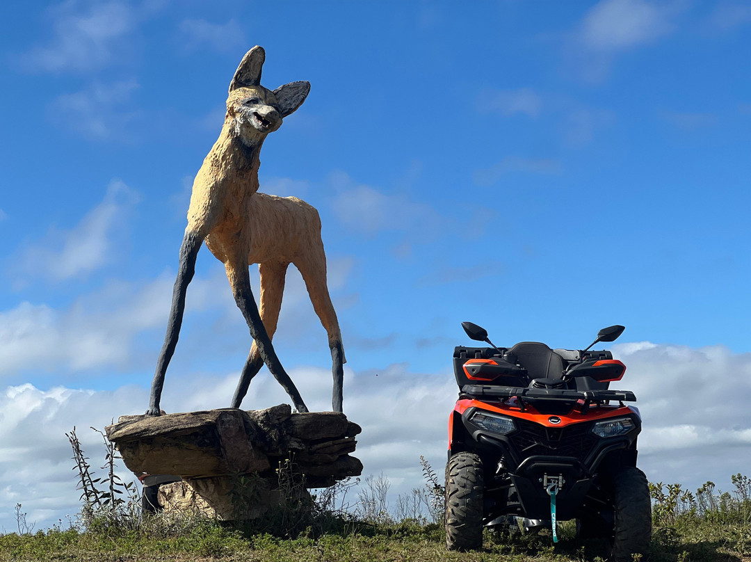 Pedacinho de Minas Quadriciclos