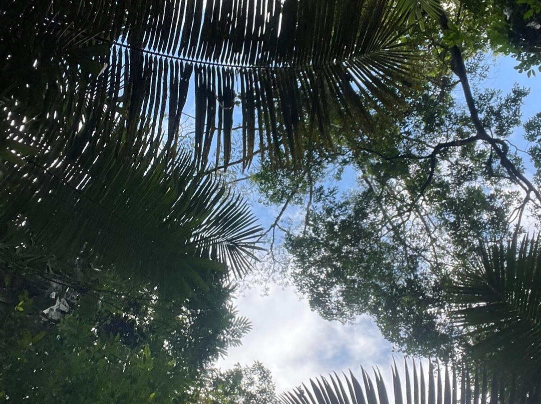 Equator Expeditions-Nayon必去景点