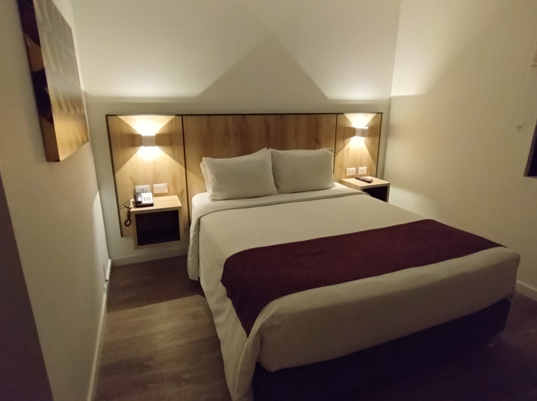 Hotel Distrito ZF主图