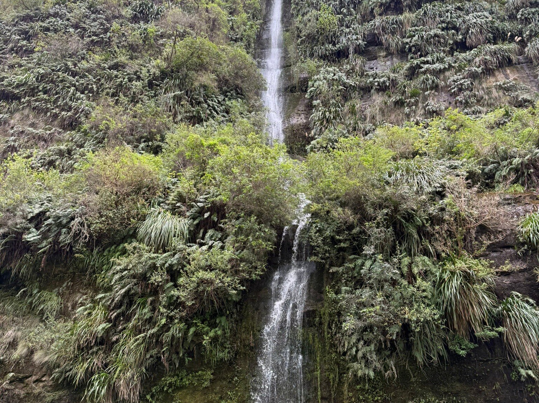 Tarata Fishaway主图