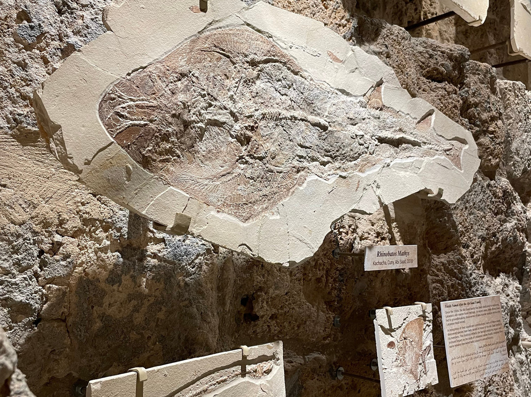 Memory of Time-朱拜勒必去景点