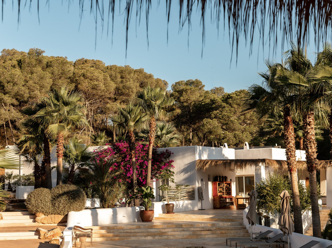 Pure House Ibiza主图