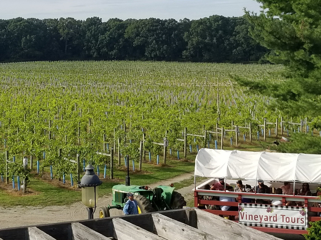 Laurita Winery-New Egypt必去景点