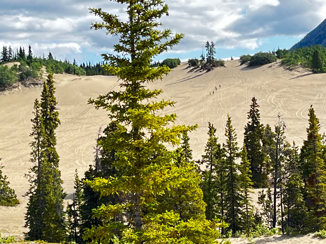 Carcross Desert-Carcross必去景点