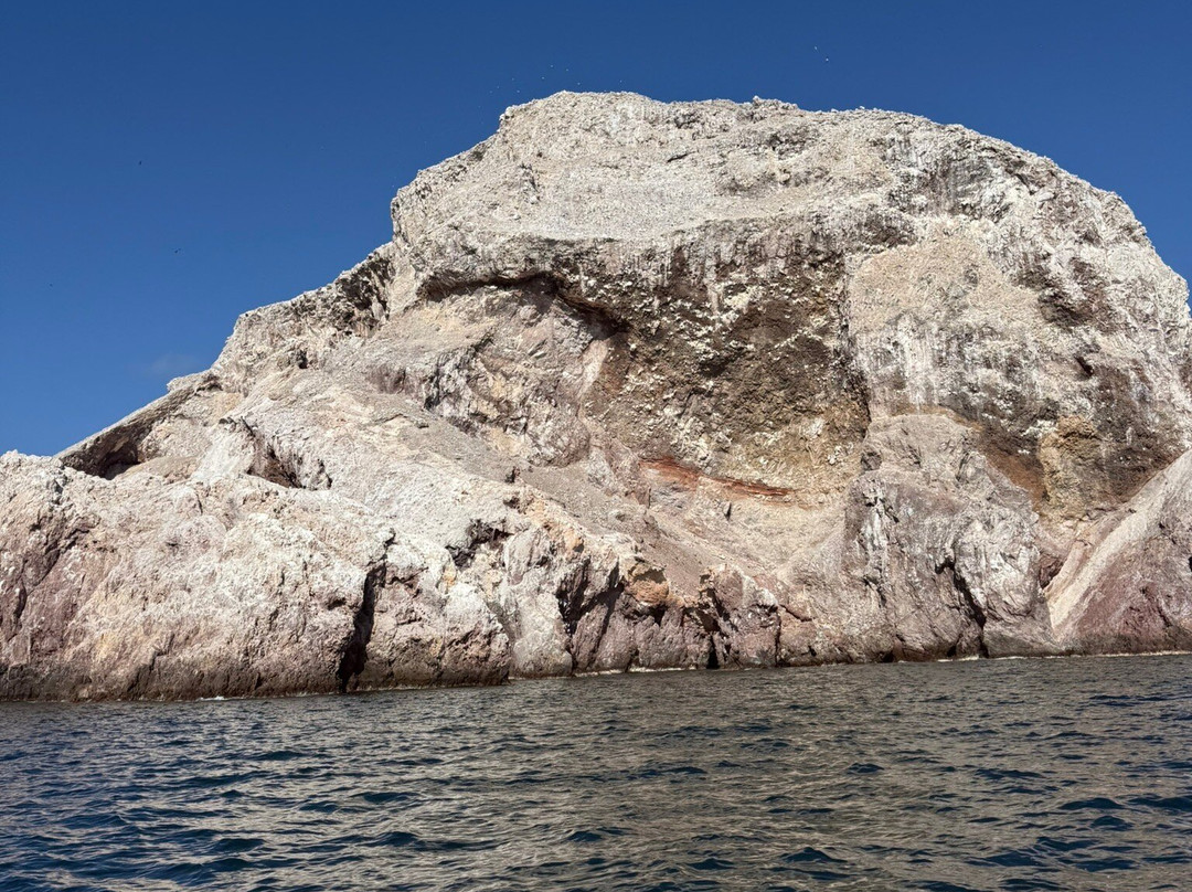 Sealion Dive Center-Los Mochis必去景点