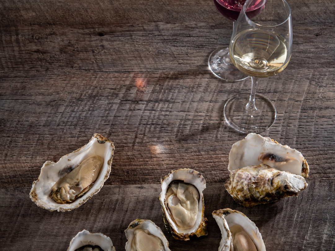 Hakodate Oysters 1854