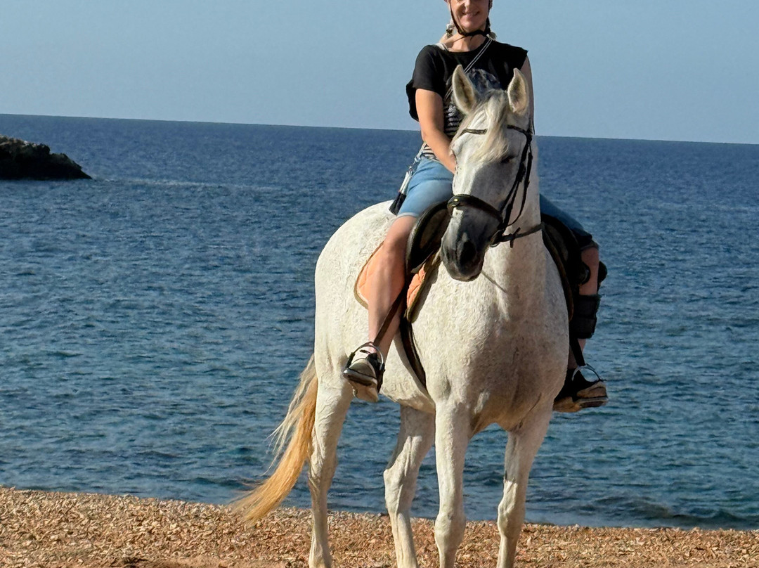 George's Ranch-Peyia必去景点