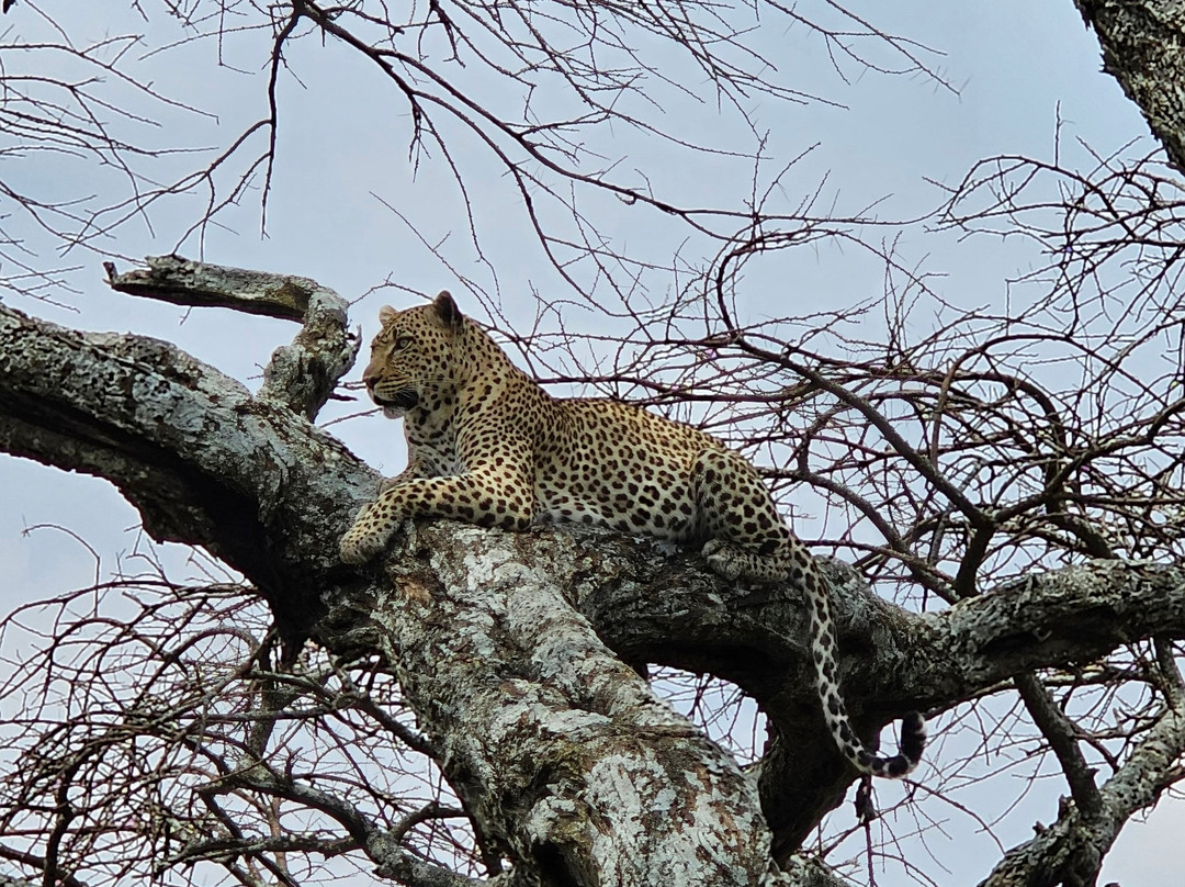 White Snow Travel-坦噶必去景点