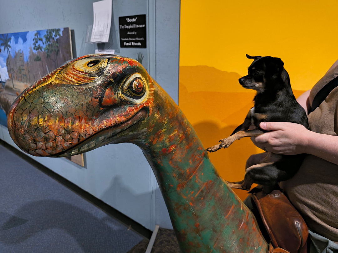 Mesalands Community College's Dinosaur Museum and Natural Sciences Laboratory-图克姆卡里必去景点