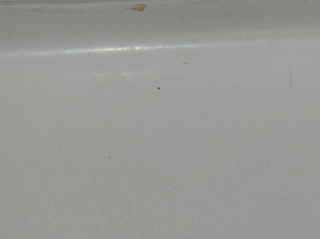 伯明翰SE/自由公园希尔顿花园酒店主图